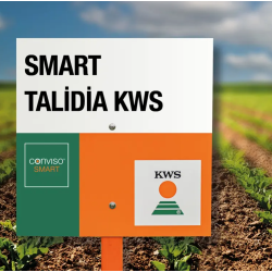 Kws Smart Talidia Akıllı Şeker Pancar Tohumu