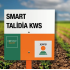 Kws Smart Talidia Akıllı Şeker Pancar Tohumu