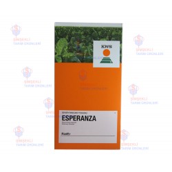 Kws Esperanza Şeker Pancar Tohumu Kaplı
