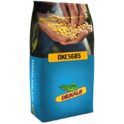 Monsanto Dekalp DKC5685 Mısır Tohumu İlaçsız