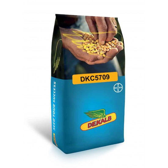 Monsanto Dekalp DKC5709 Mısır Tohumu İlaçlı