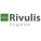 Rivulis